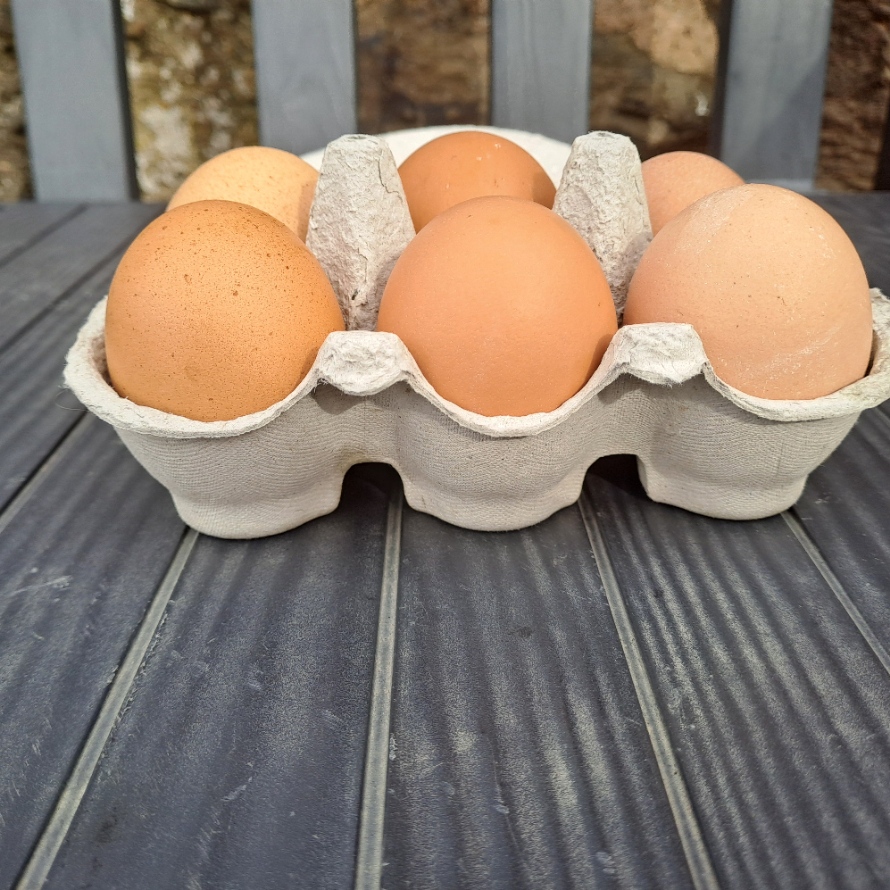 Eggs - Dozen